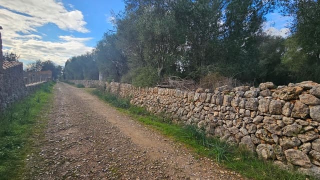 Landgrundstück zu verkaufen in Llubí - 175.000 € (Ref: 9551837)