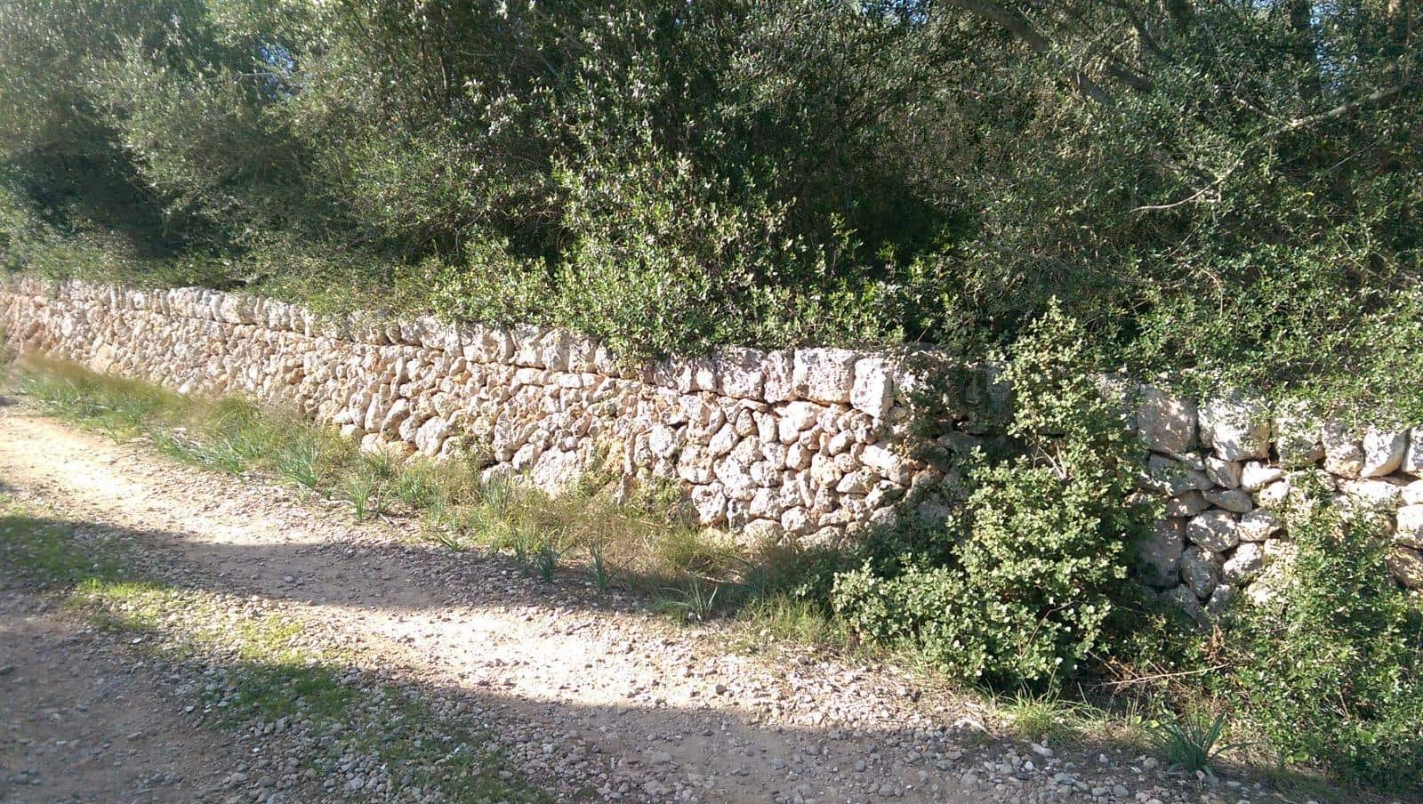 Mark till salu i Llubi - 175 000 € (Ref: 9551837)