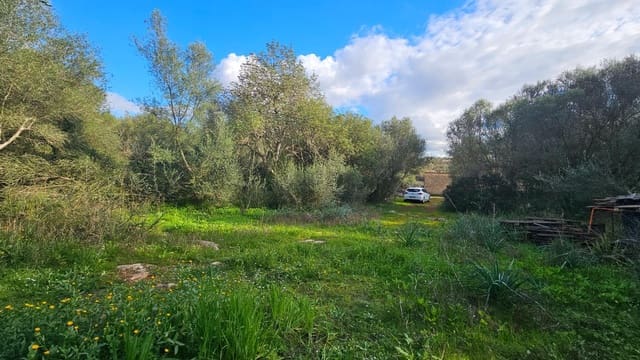 Terreno Não Urbanizado para venda em Llubí - 175 000 € (Ref: 9551837)