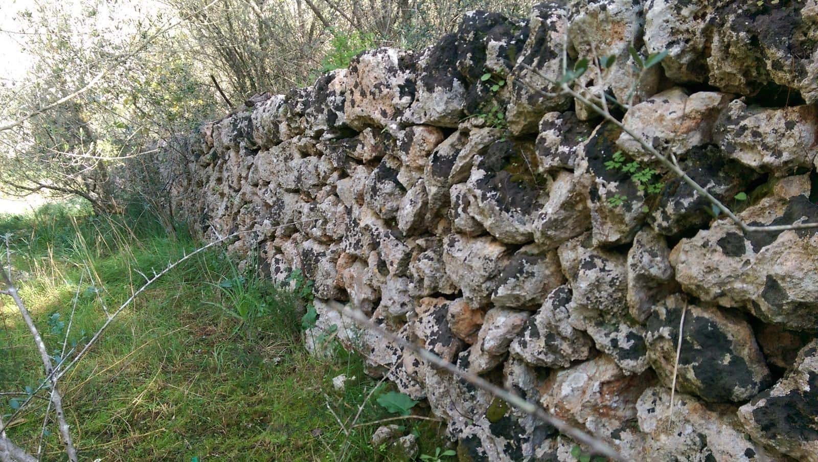 Grunde uden byggetilladelser til salg i Llubi - € 175.000 (Ref: 9551837)