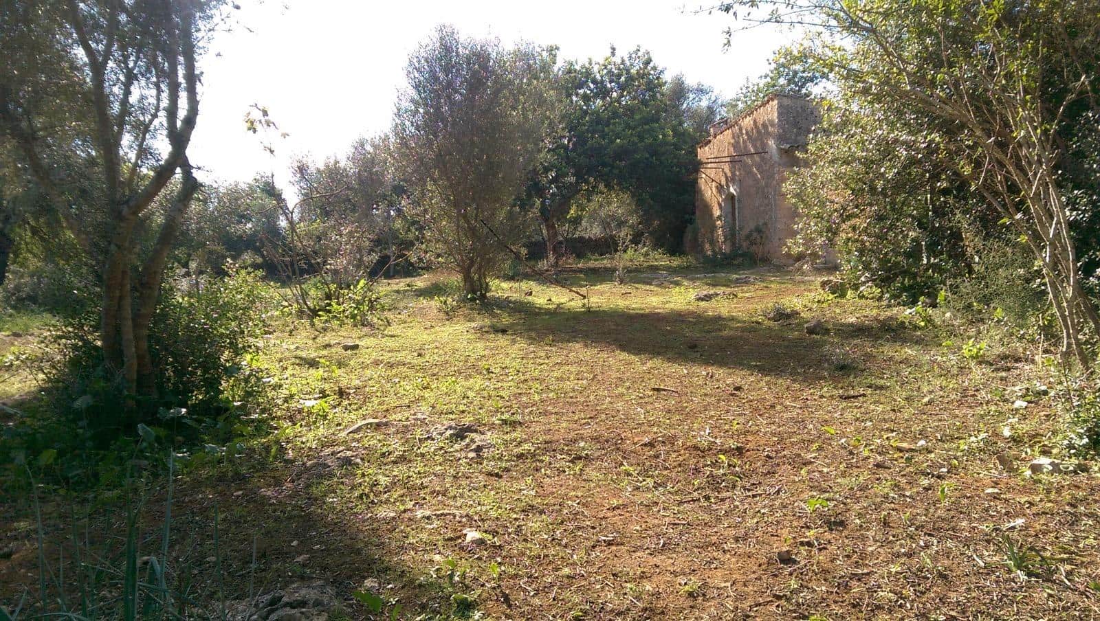 Grunde uden byggetilladelser til salg i Llubi - € 175.000 (Ref: 9551837)