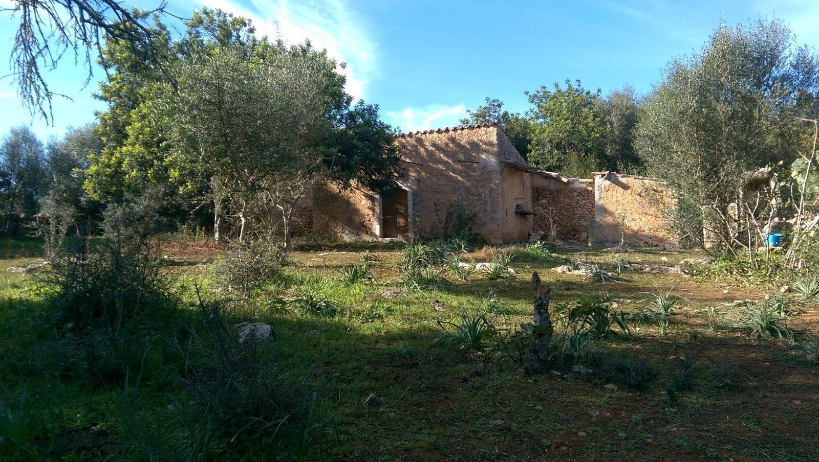 Grunde uden byggetilladelser til salg i Llubi - € 175.000 (Ref: 9551837)