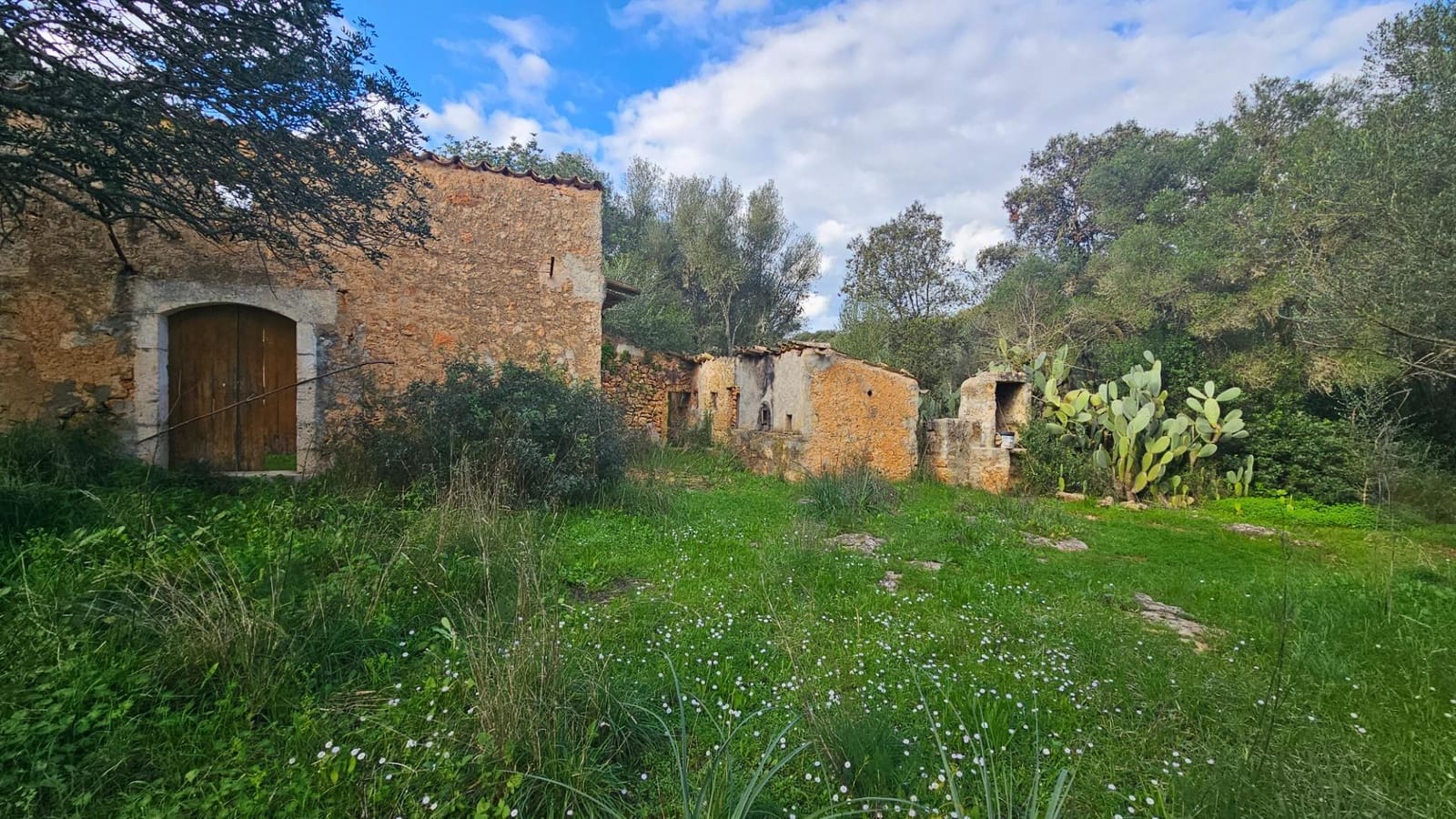 Grunde uden byggetilladelser til salg i Llubi - € 175.000 (Ref: 9551837)