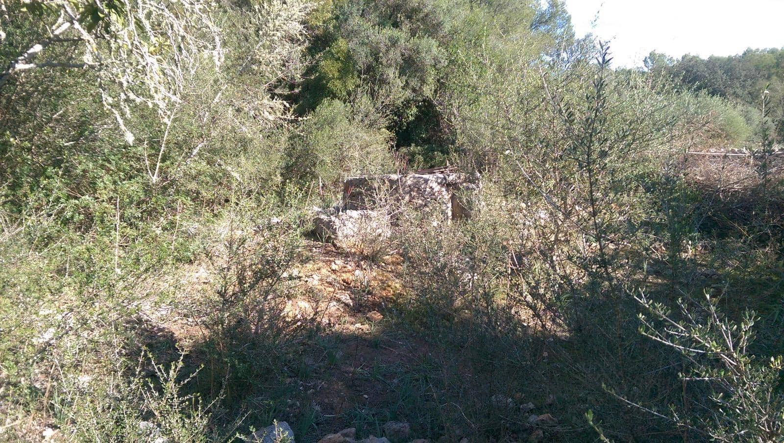 Grunde uden byggetilladelser til salg i Llubi - € 175.000 (Ref: 9551837)