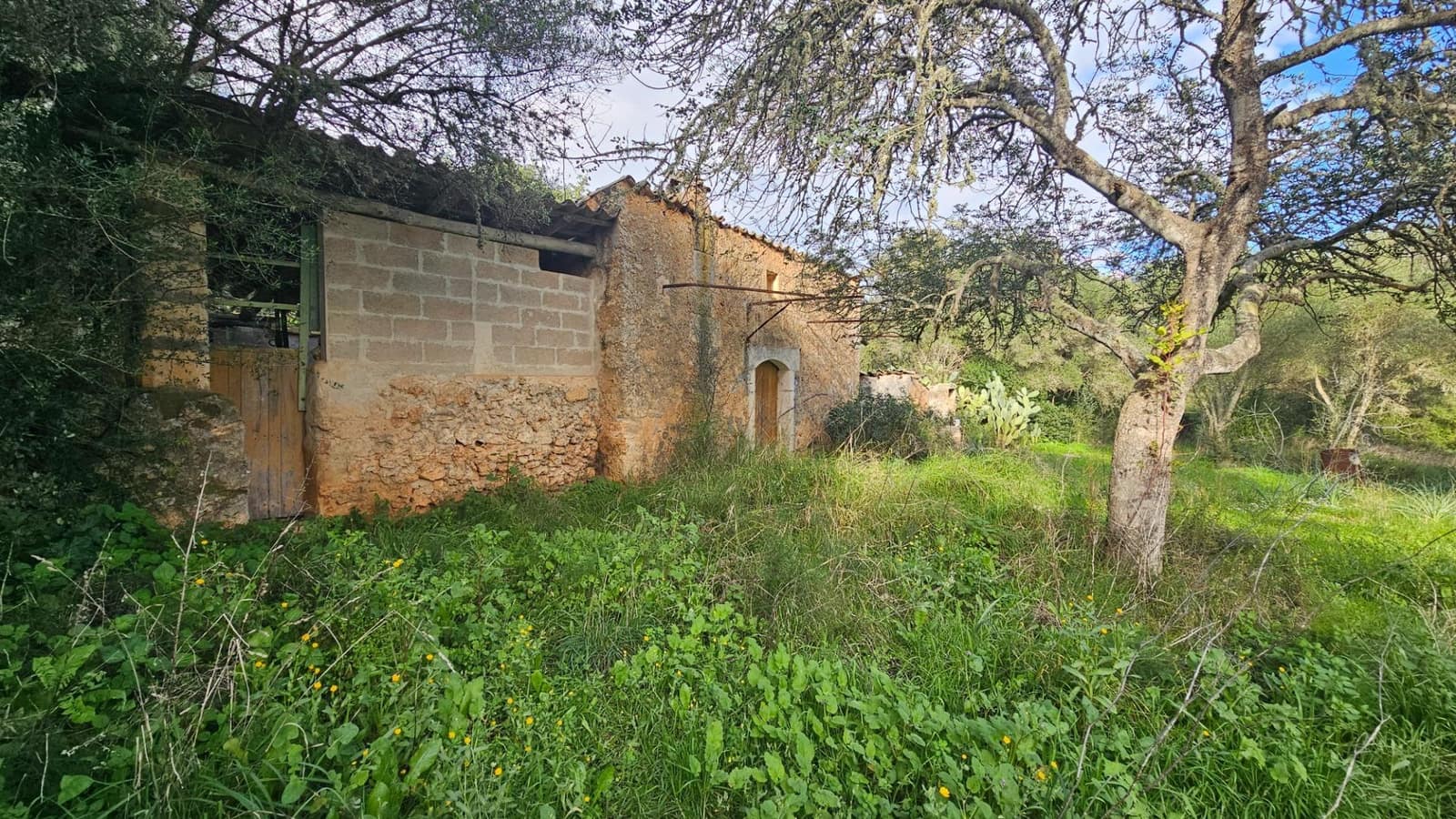 Grunde uden byggetilladelser til salg i Llubi - € 175.000 (Ref: 9551837)