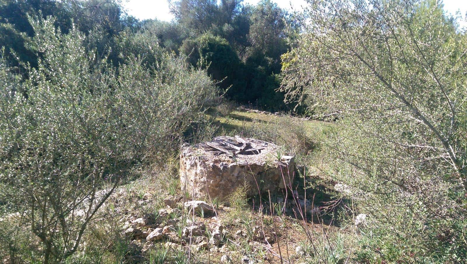 Grunde uden byggetilladelser til salg i Llubi - € 175.000 (Ref: 9551837)