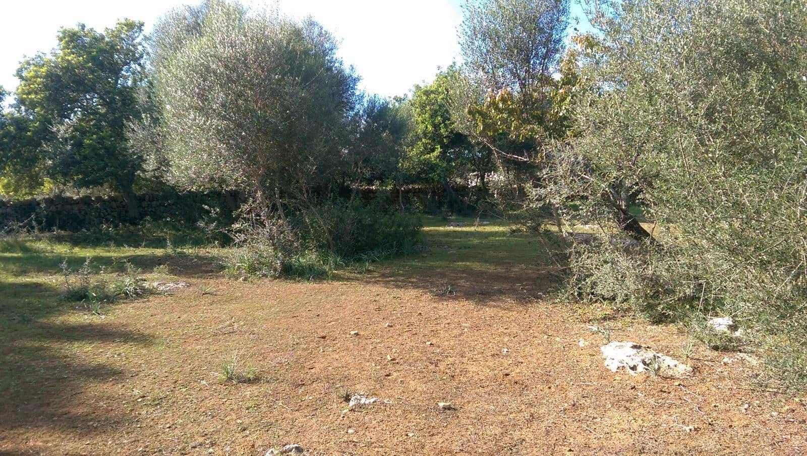 Grunde uden byggetilladelser til salg i Llubi - € 175.000 (Ref: 9551837)