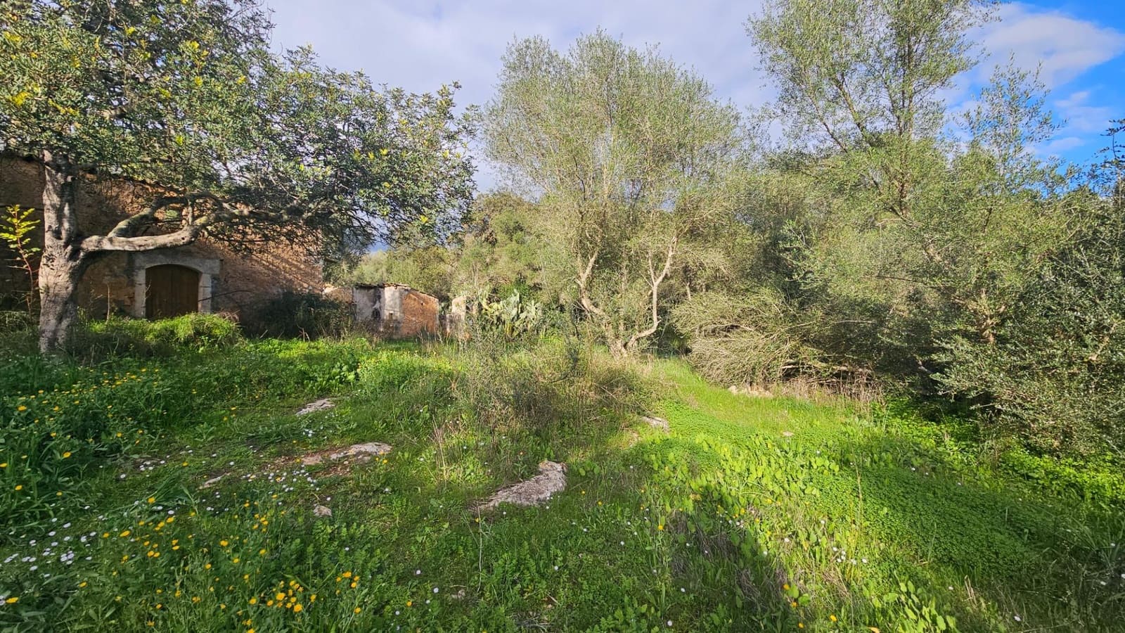 Grunde uden byggetilladelser til salg i Llubi - € 175.000 (Ref: 9551837)