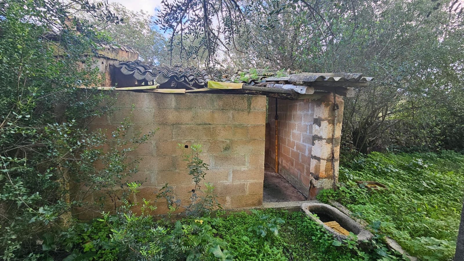 Grunde uden byggetilladelser til salg i Llubi - € 175.000 (Ref: 9551837)