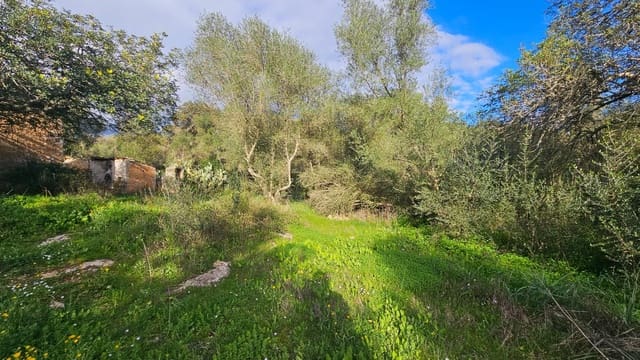 Terreno Não Urbanizado para venda em Llubí - 175 000 € (Ref: 9551837)
