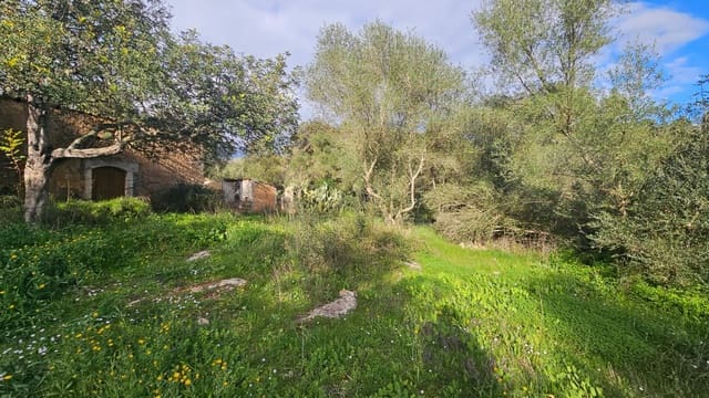 Terreno Não Urbanizado para venda em Llubí - 175 000 € (Ref: 9551837)