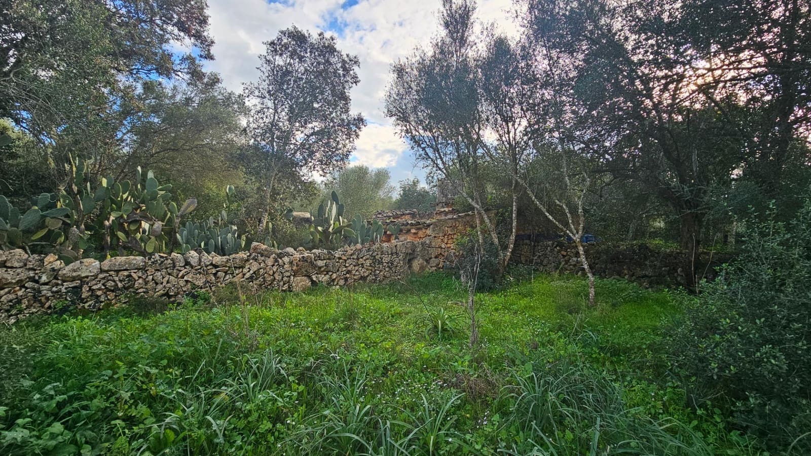 Grunde uden byggetilladelser til salg i Llubi - € 175.000 (Ref: 9551837)