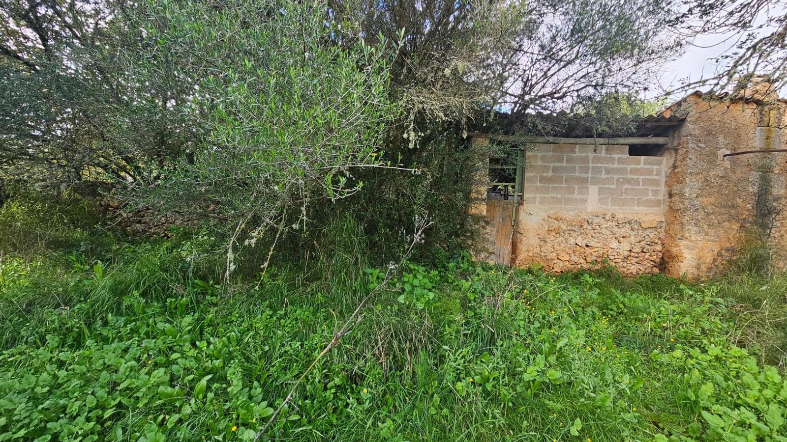 Grunde uden byggetilladelser til salg i Llubi - € 175.000 (Ref: 9551837)