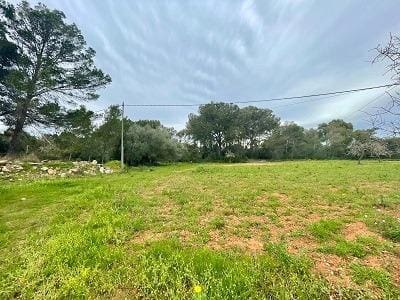 Undeveloped Land for sale in Algaida - € 373,000 (Ref: 9596340)