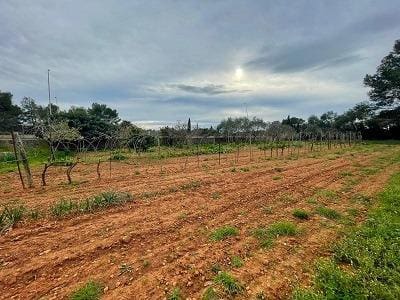 Undeveloped Land for sale in Algaida - € 373,000 (Ref: 9596340)