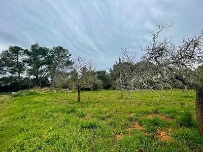 Undeveloped Land for sale in Algaida - € 373,000 (Ref: 9596340)