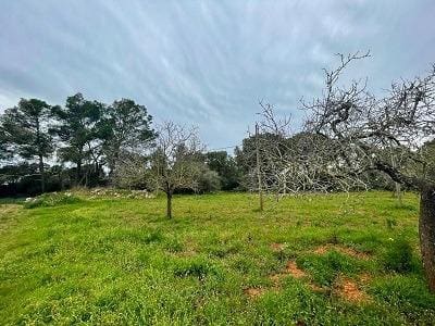 Undeveloped Land for sale in Algaida - € 373,000 (Ref: 9596340)