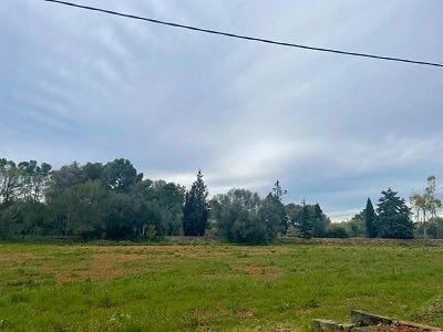 Undeveloped Land for sale in Algaida - € 373,000 (Ref: 9596340)
