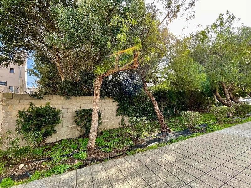 Building Plot for sale in Marratxi - € 320,000 (Ref: 9608196)