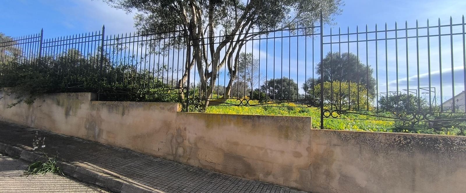 Byggegrund til salg i Sa Cabaneta / La Cabaneta - € 850.000 (Ref: 9616023)