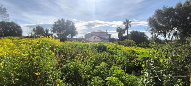 Byggegrund til salg i Sa Cabaneta / La Cabaneta, Marratxí - € 850.000 (Ref: 9616023)