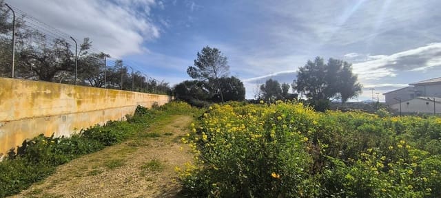 Area Edificabile in vendita in Sa Cabaneta / La Cabaneta, Marratxí - 850.000 € (Rif: 9616023)