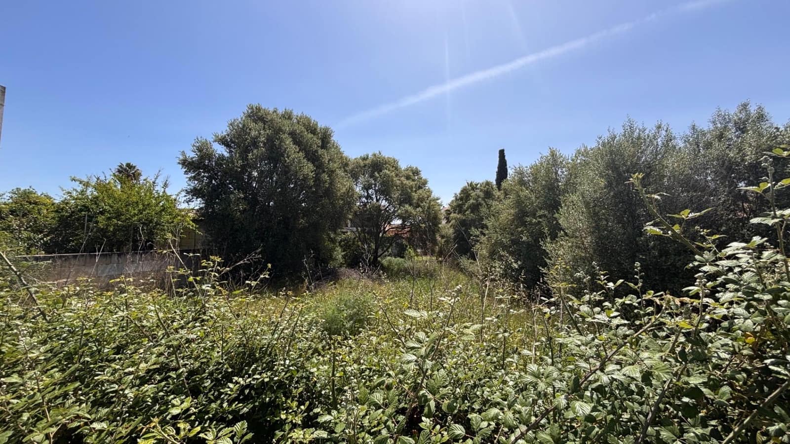 Building Plot for sale in Lloseta - € 370,000 (Ref: 9815995)