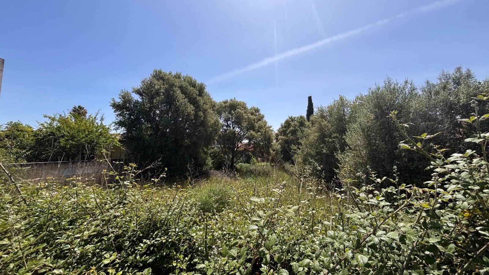 Building Plot for sale in Lloseta - € 370,000 (Ref: 9815995)