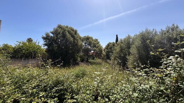 Building Plot for sale in Lloseta - € 370,000 (Ref: 9815995)