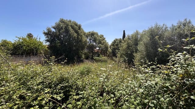 Building Plot for sale in Lloseta - € 370,000 (Ref: 9815995)