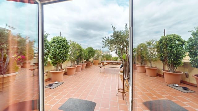 3 Zimmer Penthouse zu verkaufen in Palma de Mallorca - 530.000 € (Ref: 9898929)