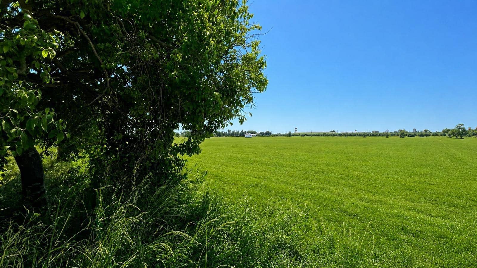 8 bedroom Finca/Country House for sale in Son Ferriol with garage - € 1,400,000 (Ref: 9940101)