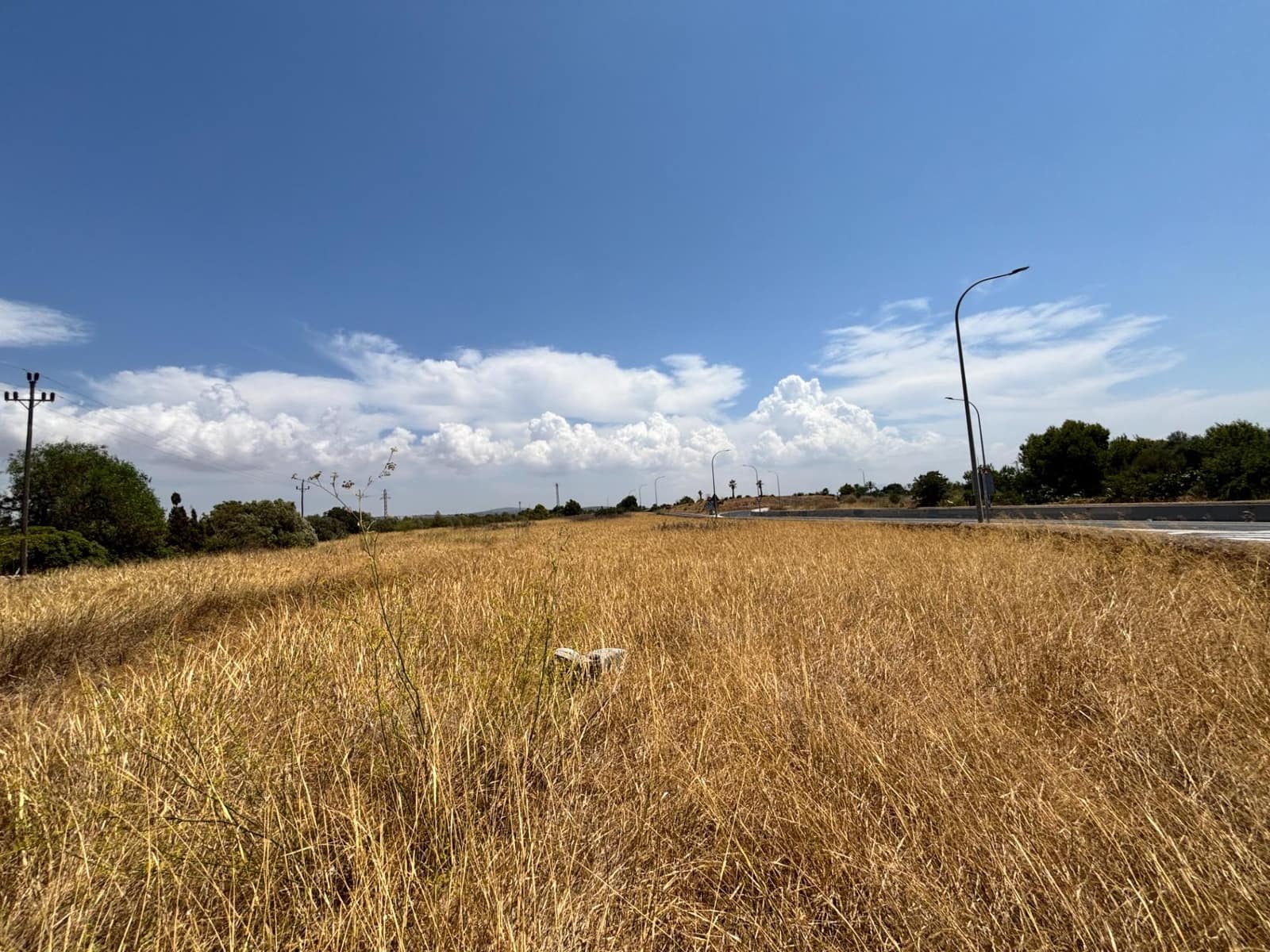 Solar/Parcela en Marratxí en venta - 295.000 € (Ref: 9998908)
