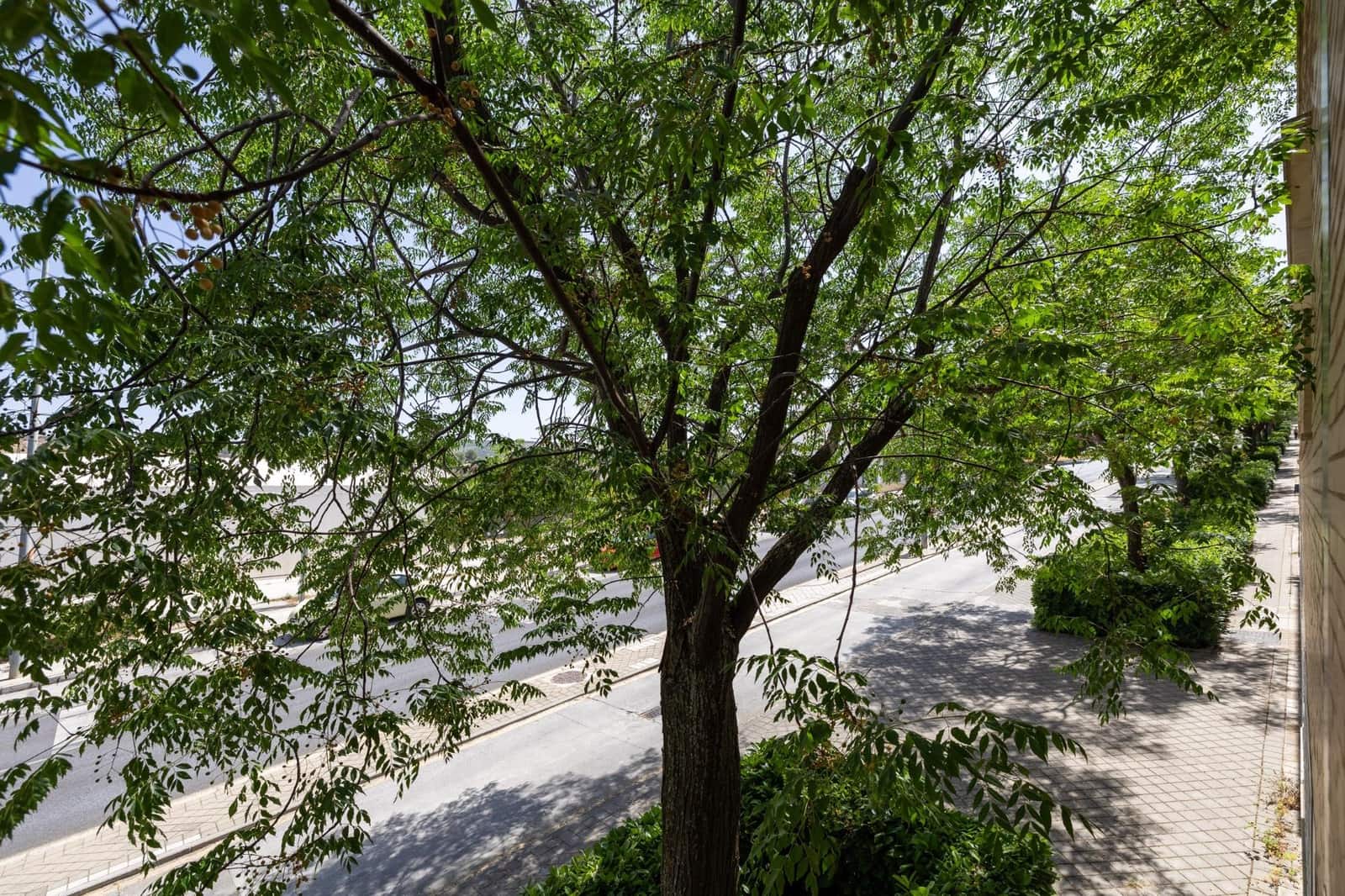 4 makuuhuone Paritalo myytävänä paikassa Granada kaupunki mukana uima-altaan 
autotalli - 520 000 € (Ref: 9106683)