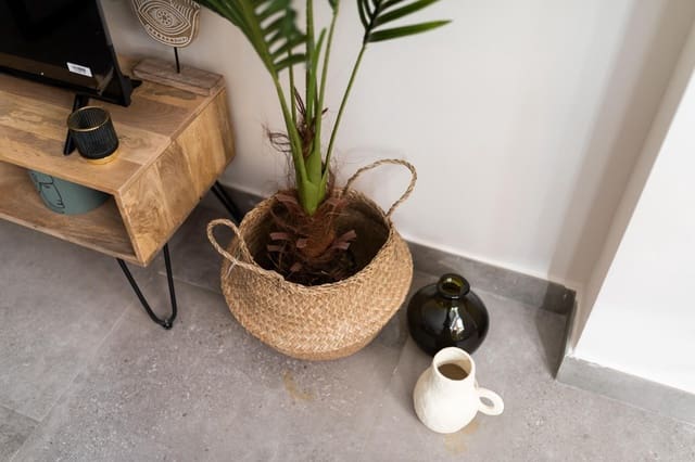 Piso de 1 habitación en Carretera de la Sierra, Granada ciudad en venta - 145.000 € (Ref: 9491720)