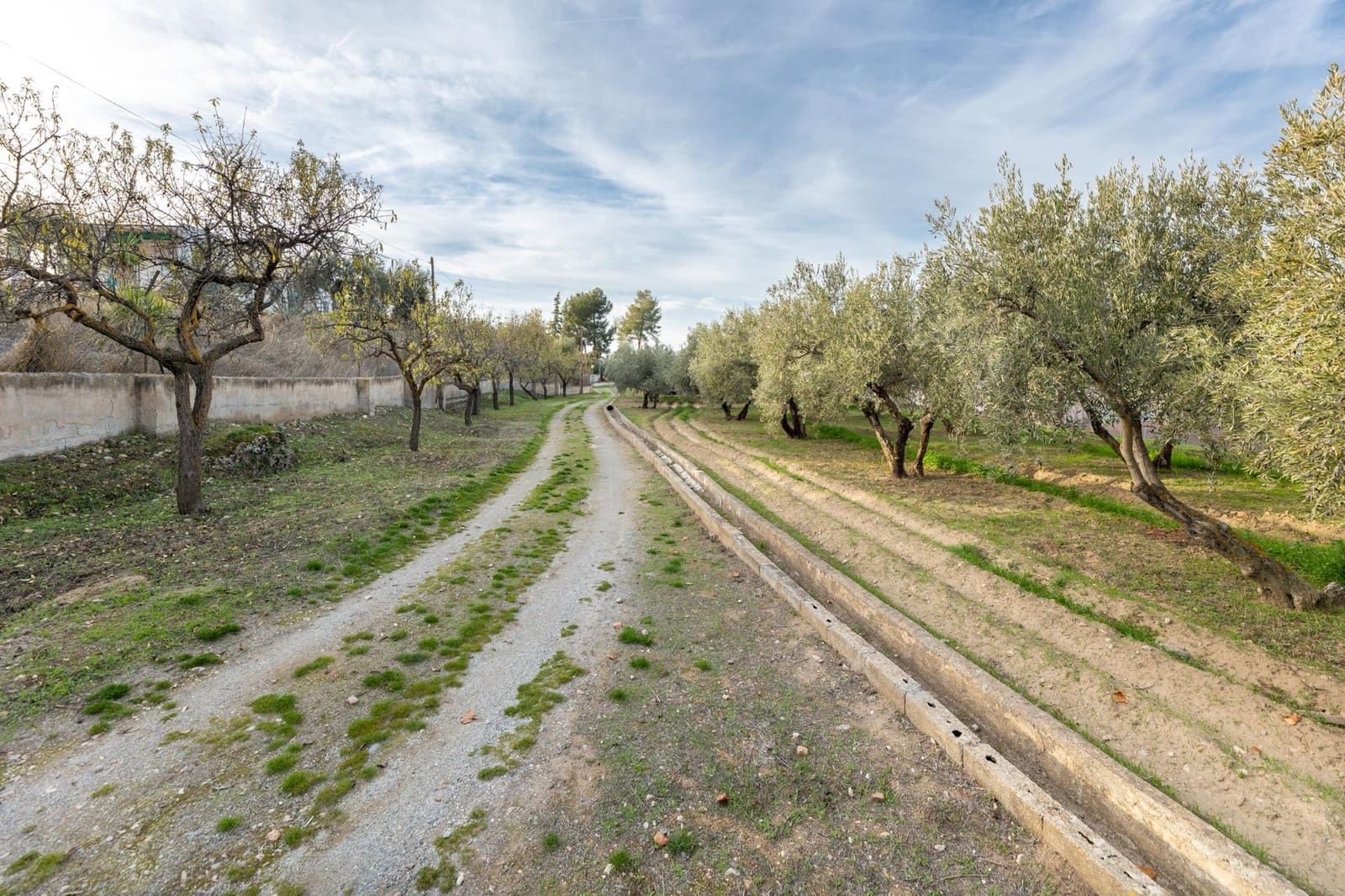 3 slaapkamer Finca/Landhuis te koop in Otura met zwembad garage - € 280.000 (Ref: 9519258)