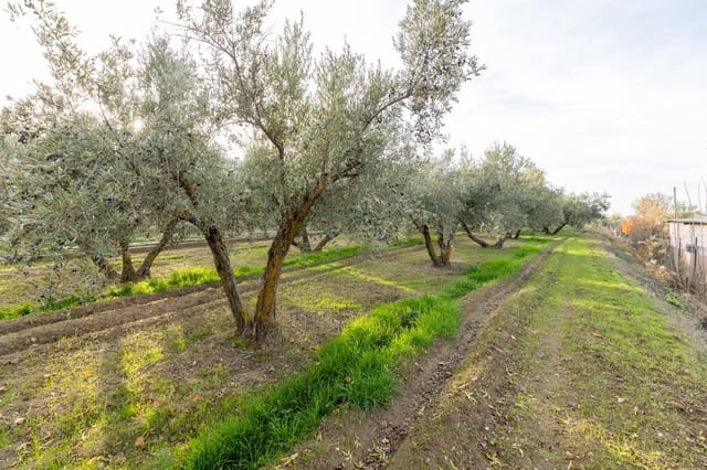 3 slaapkamer Finca/Landhuis te koop in Otura met zwembad garage - € 280.000 (Ref: 9519258)