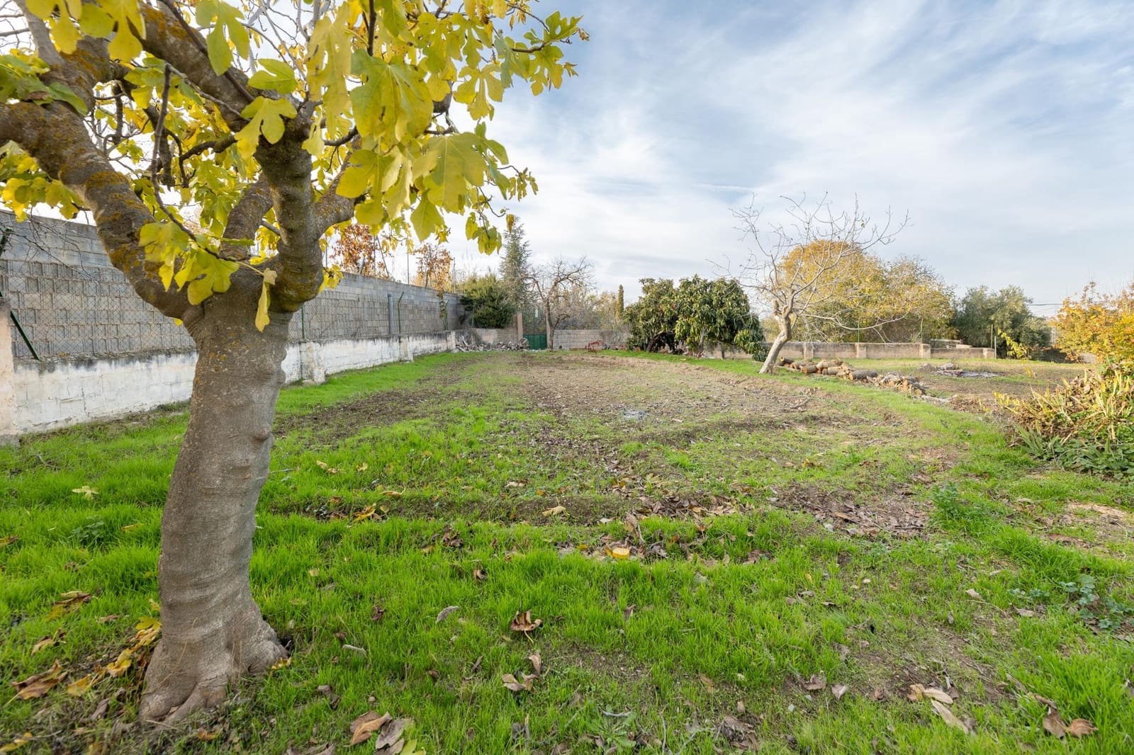 3 slaapkamer Finca/Landhuis te koop in Otura met zwembad garage - € 280.000 (Ref: 9519258)