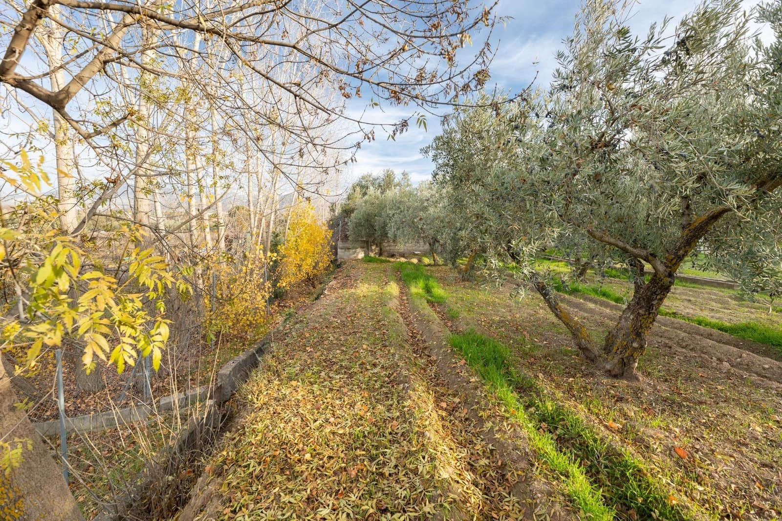 3 slaapkamer Finca/Landhuis te koop in Otura met zwembad garage - € 280.000 (Ref: 9519258)