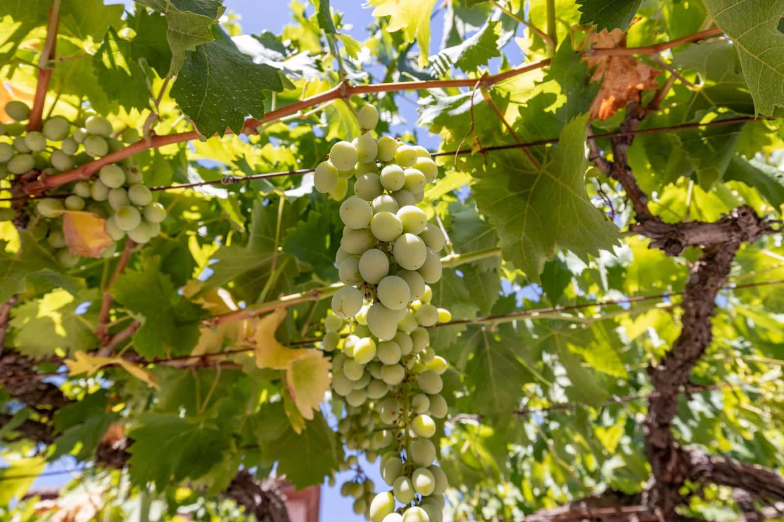 7 quarto Moradia para venda em Las Gabias com piscina garagem - 575 000 € (Ref: 9599751)