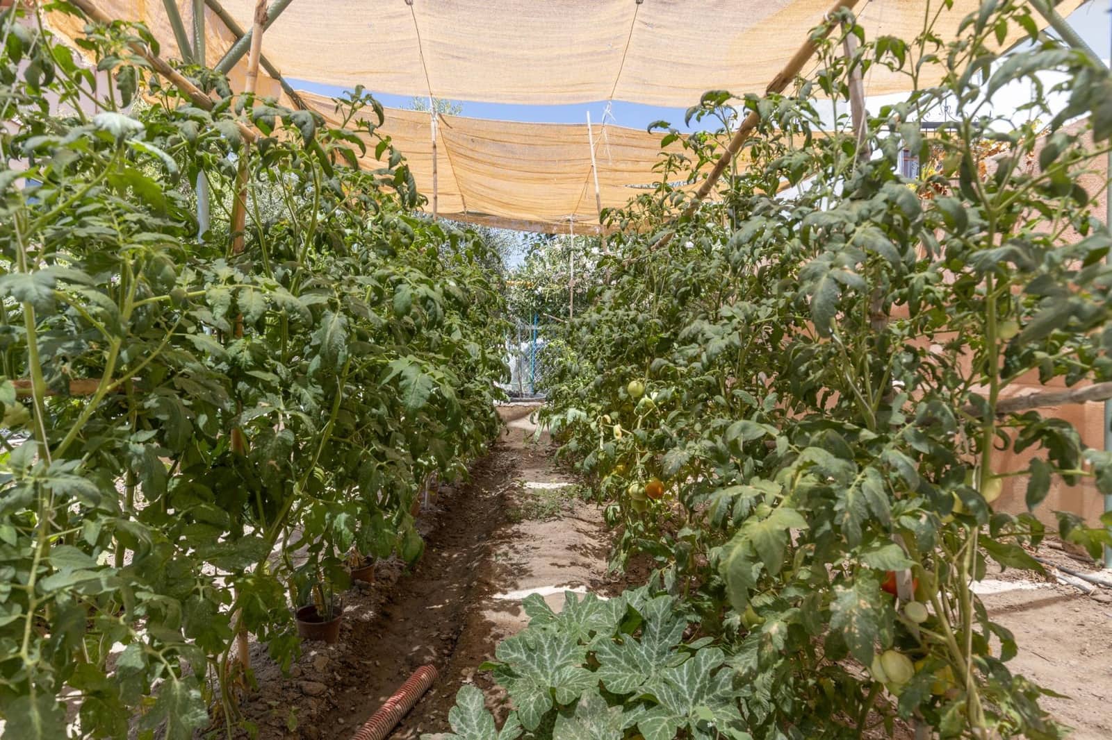 7 quarto Moradia para venda em Las Gabias com piscina garagem - 575 000 € (Ref: 9599751)