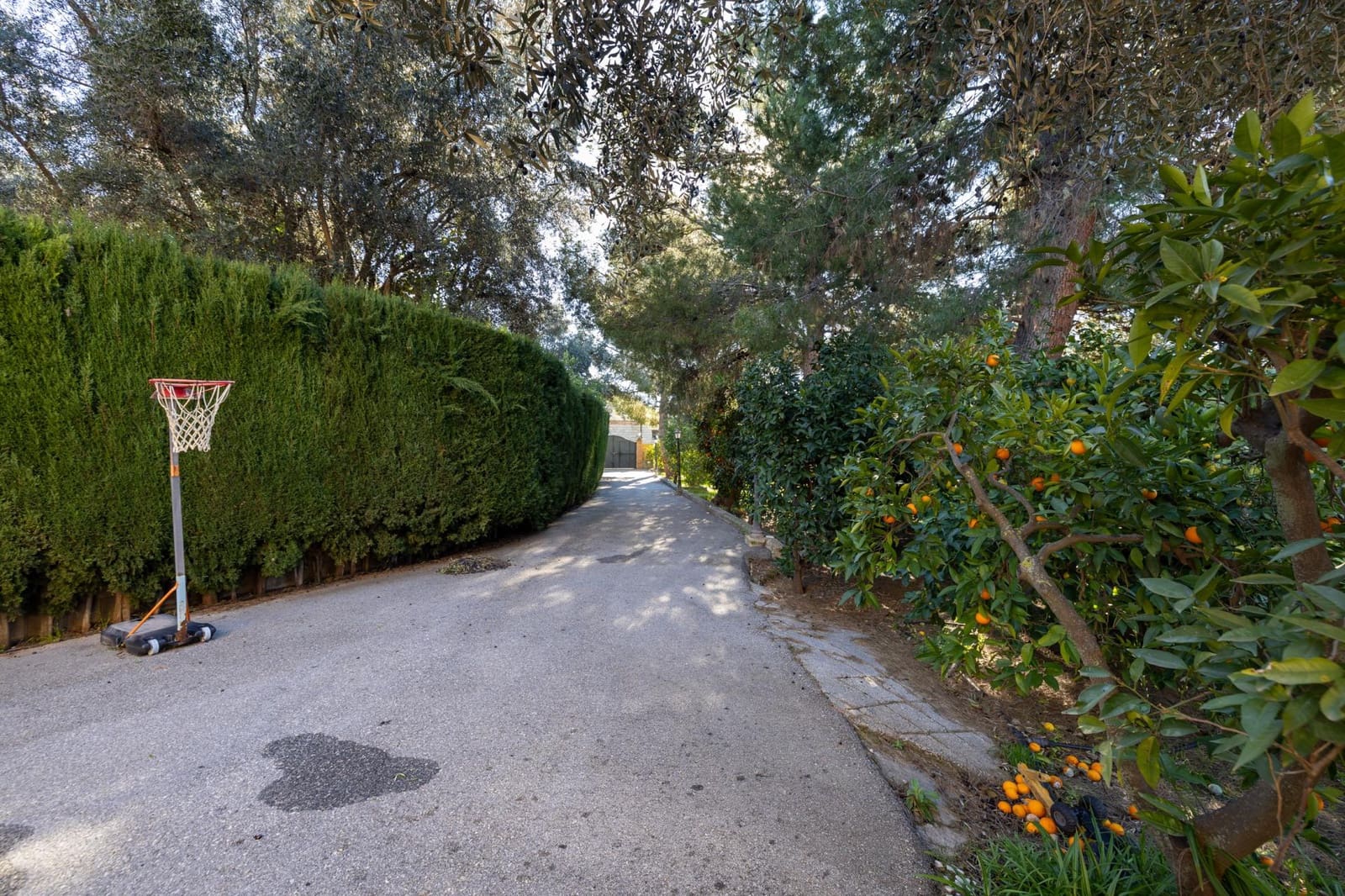 4 bedroom Villa for sale in El Valle with pool garage - € 1,150,000 (Ref: 9616108)