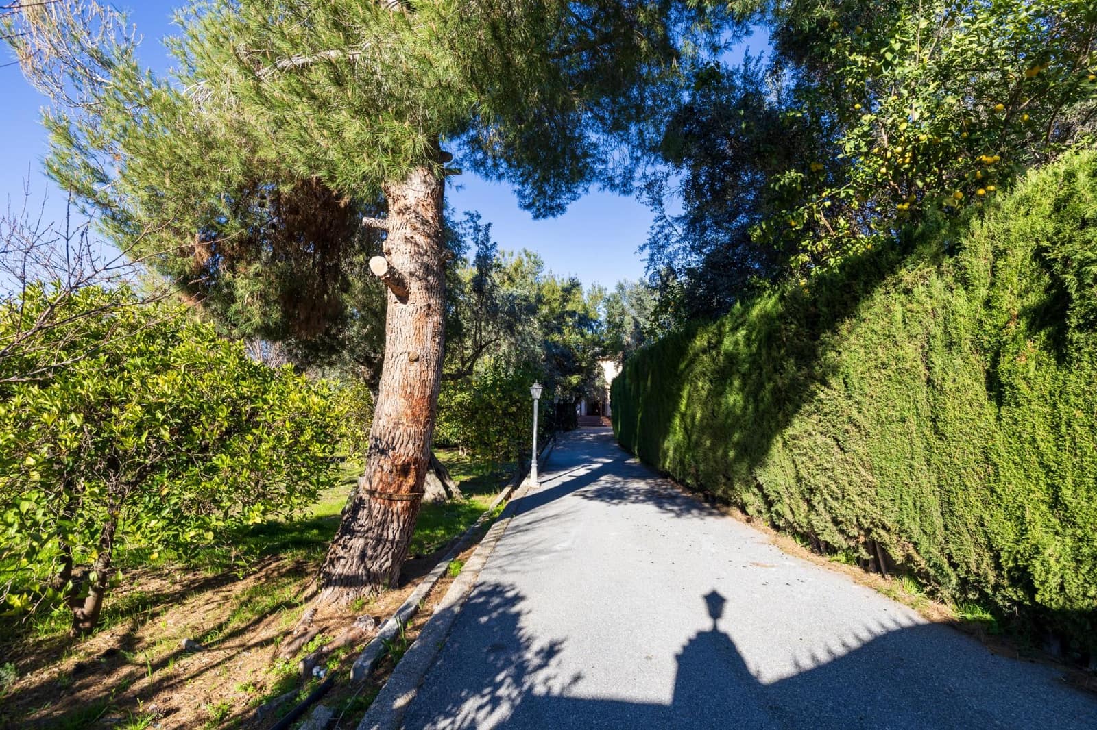 4 bedroom Villa for sale in El Valle with pool garage - € 1,150,000 (Ref: 9616108)