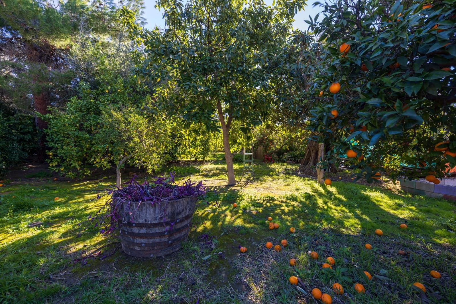 4 bedroom Villa for sale in El Valle with pool garage - € 1,150,000 (Ref: 9616108)