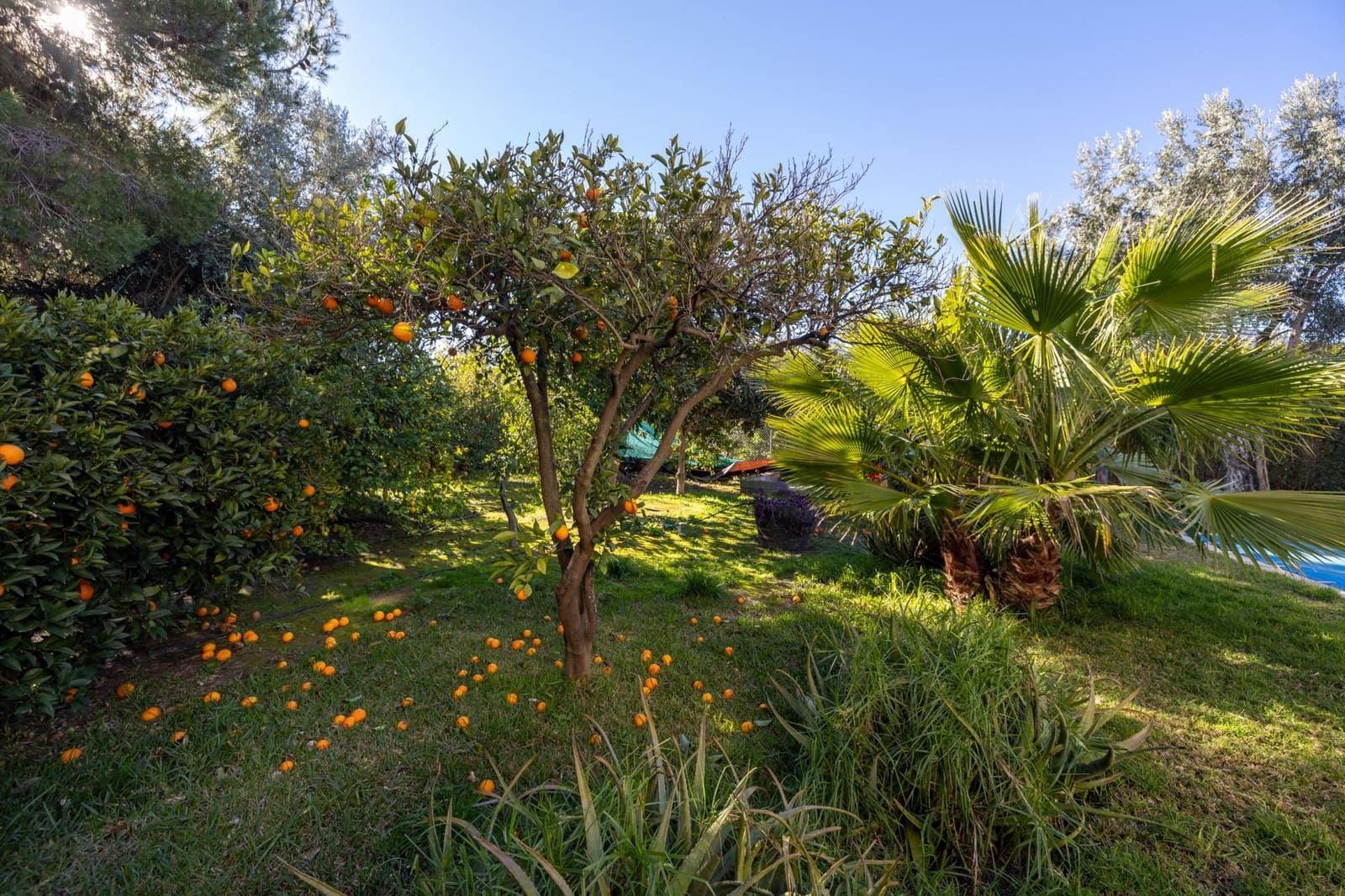 4 bedroom Villa for sale in El Valle with pool garage - € 1,150,000 (Ref: 9616108)