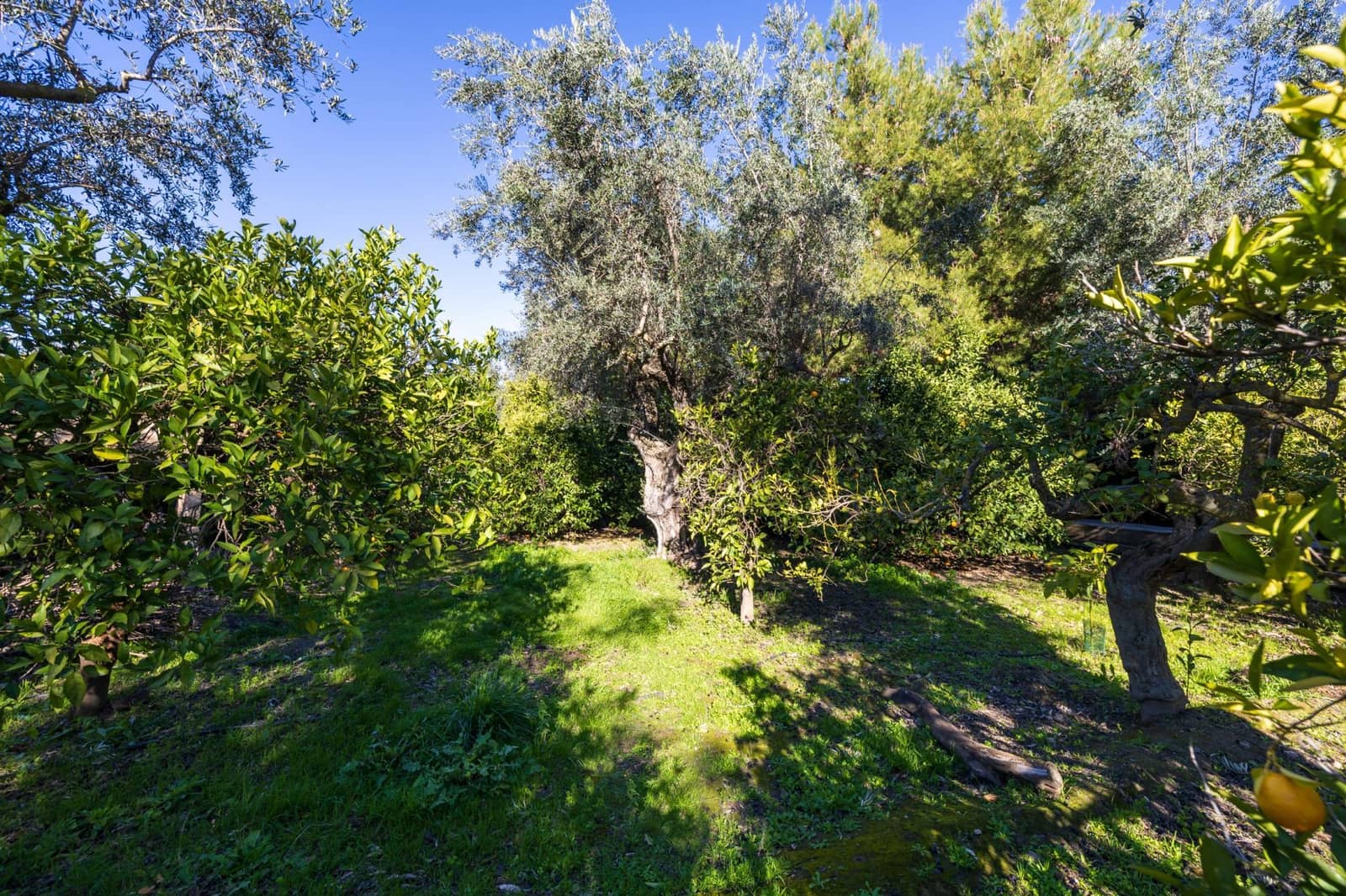 4 bedroom Villa for sale in El Valle with pool garage - € 1,150,000 (Ref: 9616108)