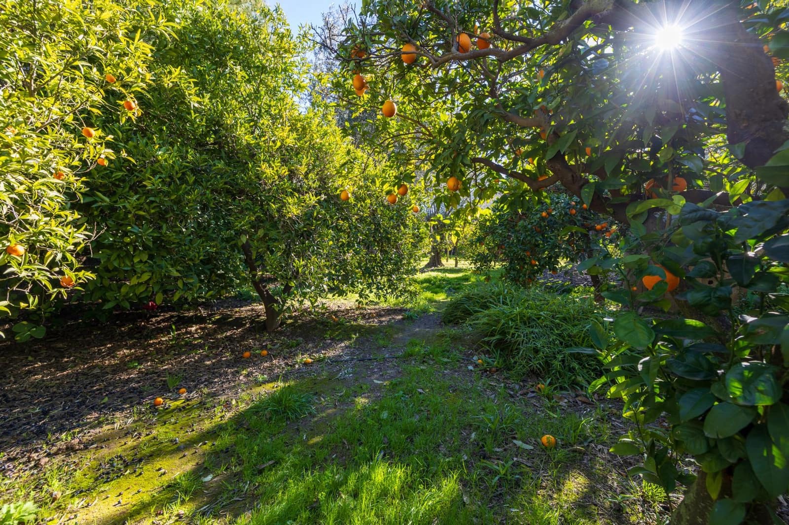 4 bedroom Villa for sale in El Valle with pool garage - € 1,150,000 (Ref: 9616108)