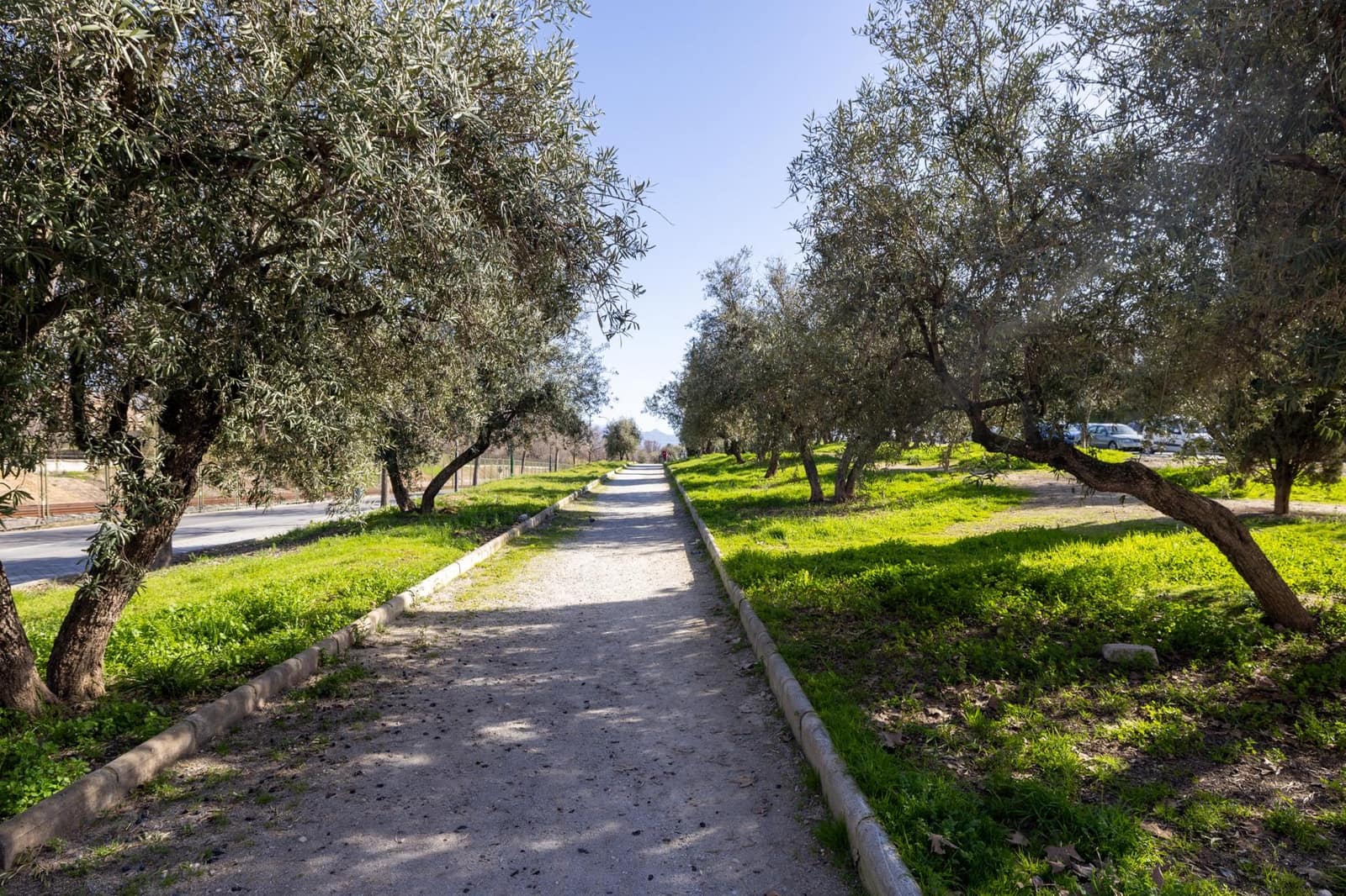 3 sovrum Lägenhet till salu i Granada stad - 210 000 € (Ref: 9648391)