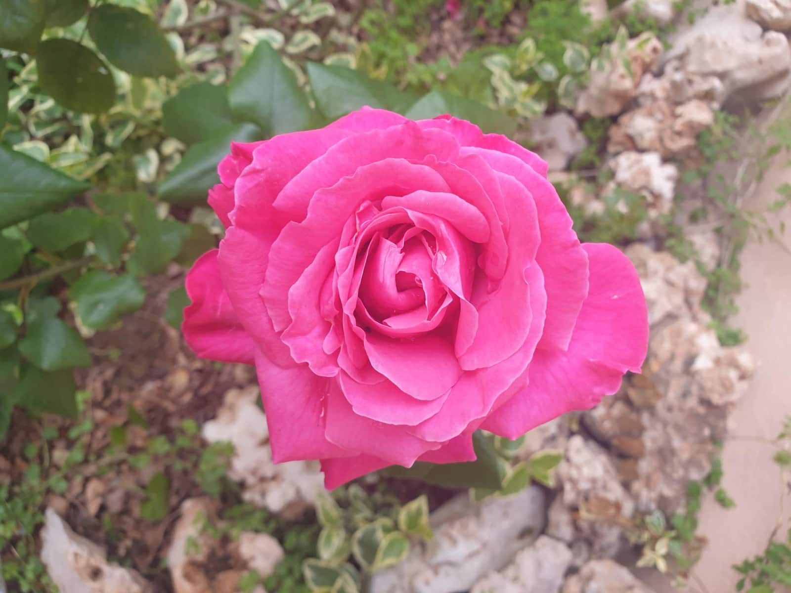 Chalet de 7 habitaciones en Las Gabias en venta con piscina garaje - 575.000 € (Ref: 9677677)