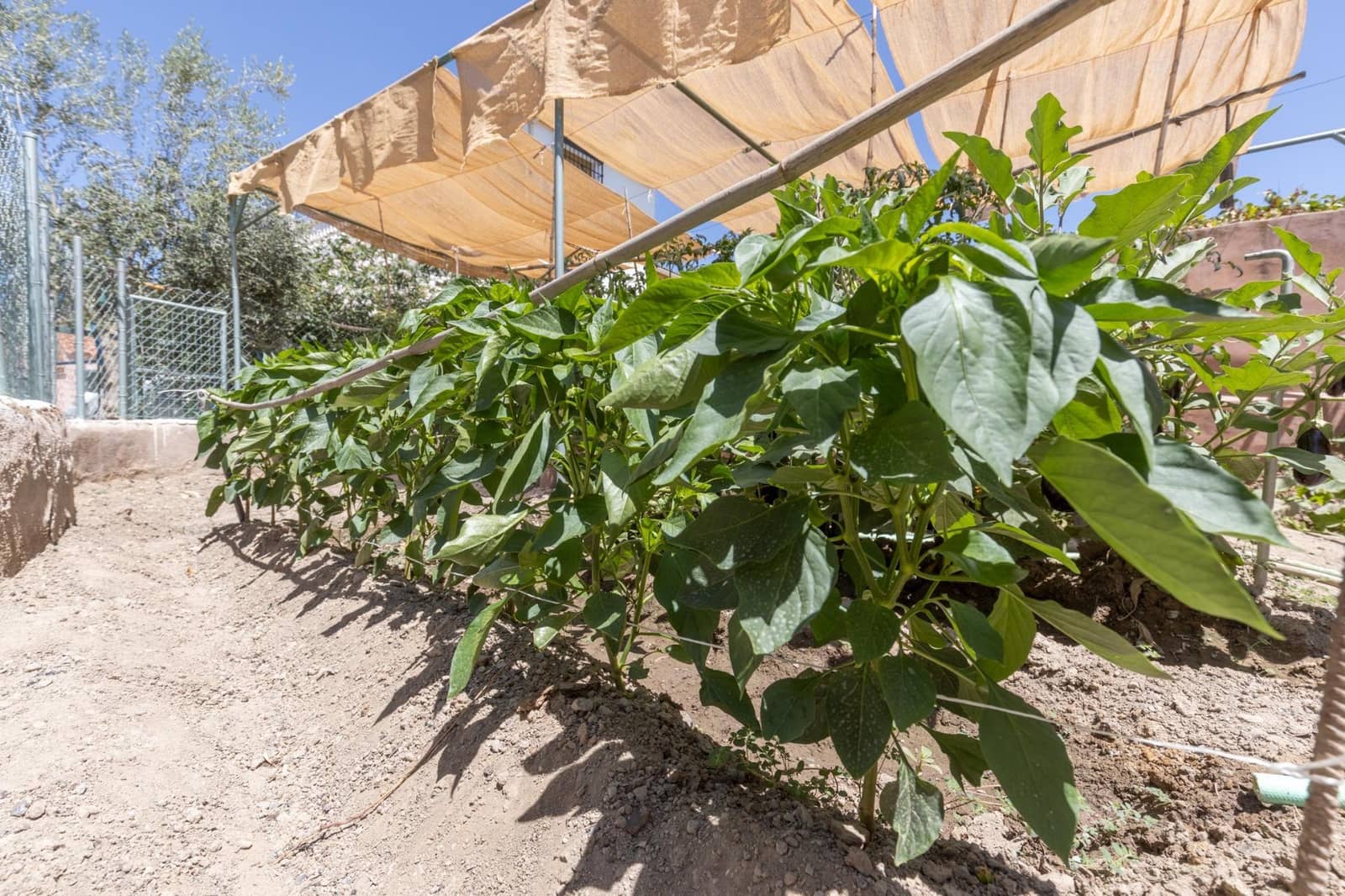 Chalet de 7 habitaciones en Las Gabias en venta con piscina garaje - 575.000 € (Ref: 9677677)